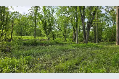 Tract 2 Folsom Jonesville Road, Glencoe, KY 41046 - Photo 11