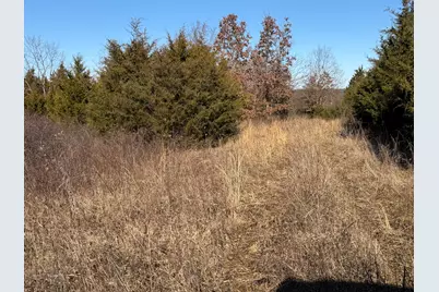 00 Pleasant View Cemetery Road, Corinth, KY 41010 - Photo 19