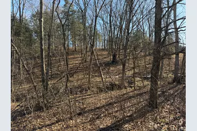 00 Pleasant View Cemetery Road, Corinth, KY 41010 - Photo 13