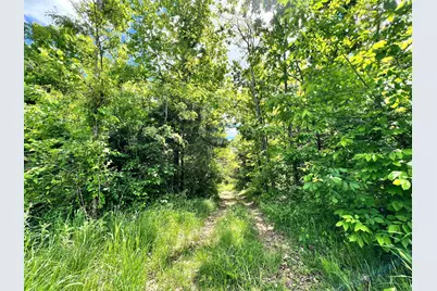 6710 Lawrenceville Road, Williamstown, KY 41097 - Photo 43
