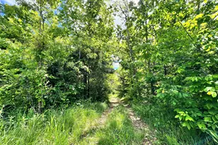 6710 Lawrenceville Rd, Williamstown, KY 41097 - Photo 43