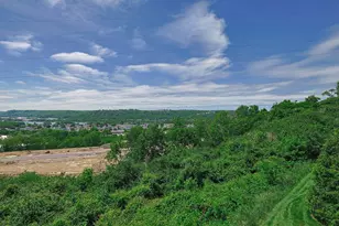 265 Skyview Ct, Ludlow, KY 41016 - Photo 27