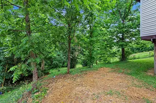 806 Cox Rd, Independence, KY 41051 - Photo 29