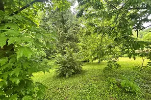 806 Cox Rd, Independence, KY 41051 - Photo 21