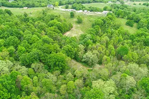 242 Belmont Rd, Brooksville, KY 41004 - Photo 43