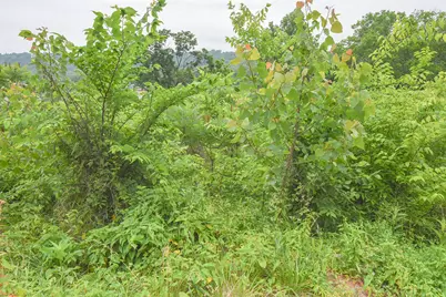 4768 River Road, Hebron, KY 41048 - Photo 9