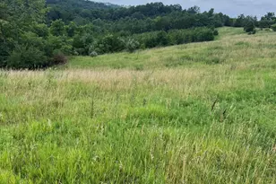 283 Jacobs Rd, Butler, KY 41006 - Photo 9