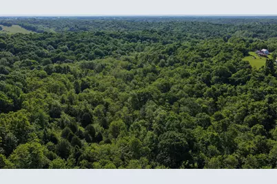 0 Crockett Lane, Mount Olivet, KY 41064 - Photo 7