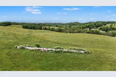 95 Acres Hwy 159 & Grimes Rd, Falmouth, KY 41040 - Photo 11