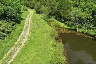 1519 Sparta Pike, Sparta, KY 41086 - Photo 21