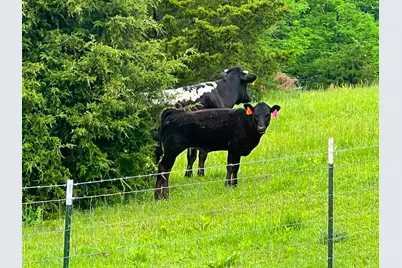 8530 Hwy 22 East, Owenton, KY 40359 - Photo 15
