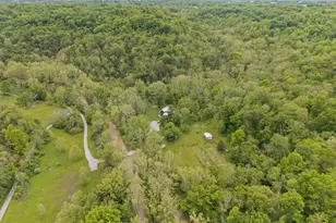 925 Lockmier Rd, Augusta, KY 41002 - Photo 41