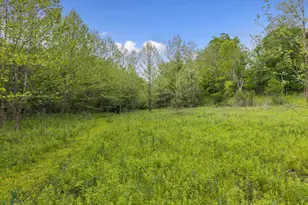 925 Lockmier Rd, Augusta, KY 41002 - Photo 45