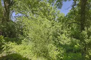 201 Cleveland Ave, Bellevue, KY 41073 - Photo 37