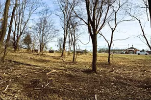 0 55 Ac N N Main St, Williamstown, KY 41097 - Photo 5