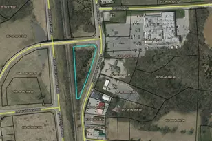 0 55 Ac N N Main St, Williamstown, KY 41097 - Photo 13