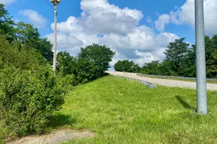 0 55 Ac N N Main St, Williamstown, KY 41097 - Photo 9