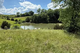 3958 Hwy 1130, Sanders, KY 41083 - Photo 15
