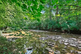 1608 Shady Cove Ln, Florence, KY 41042 - Photo 49