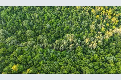 480 Ac Dietrich Road, Dover, KY 41034 - Photo 25