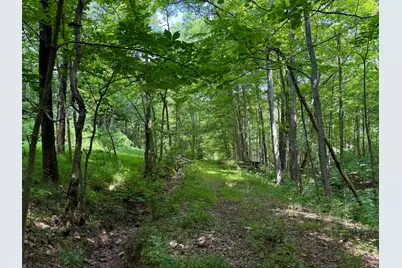 480 Ac Dietrich Road, Dover, KY 41034 - Photo 21