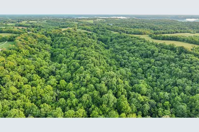 480 Ac Dietrich Road, Dover, KY 41034 - Photo 5