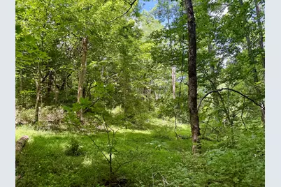 480 Ac Dietrich Road, Dover, KY 41034 - Photo 43