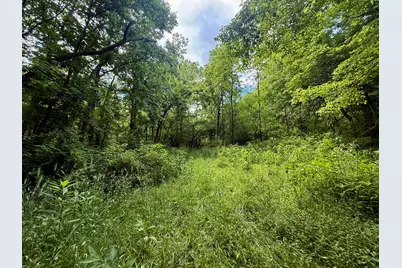 480 Ac Dietrich Road, Dover, KY 41034 - Photo 13