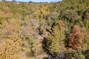 3910 Taft Hwy, Dry Ridge, KY 41035 - Photo 45