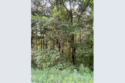 .34 Acre Buckeye Hills Road, Falmouth, KY 41040 - Photo 5