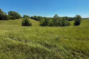 2604 Boyers Chapel Rd, Sadieville, KY 40370 - Photo 5