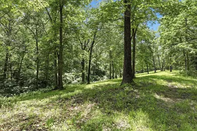 590 Leaning Oak Road, Corinth, KY 41010 - Photo 29