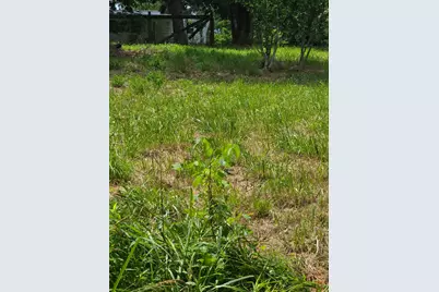 25 Leaning Oak Road, Corinth, KY 41010 - Photo 15