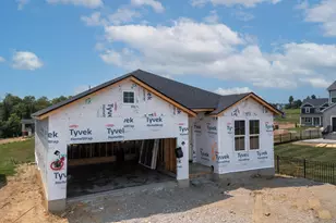 11054 Briarview Ct, Independence, KY 41051 - Photo 3