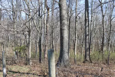 1474 Poindexter Road, Cynthiana, KY 41031 - Photo 3
