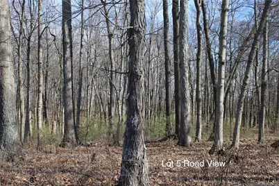 1474 Poindexter Road, Cynthiana, KY 41031 - Photo 5
