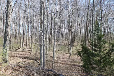 1480 Poindexter Road, Cynthiana, KY 41031 - Photo 5
