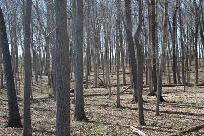 1600 Poindexter Road, Cynthiana, KY 41031 - Photo 7