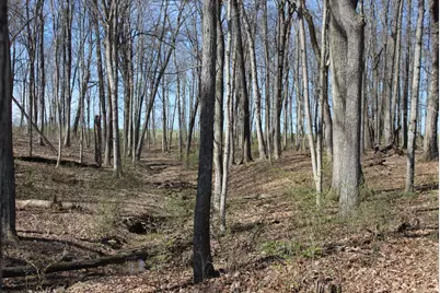1694 Poindexter Road, Cynthiana, KY 41031 - Photo 5