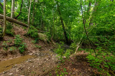 1417 N Bend Road, Hebron, KY 41048 - Photo 23