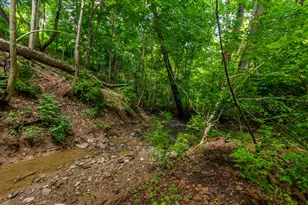 1417 N Bend Rd, Hebron, KY 41048 - Photo 23