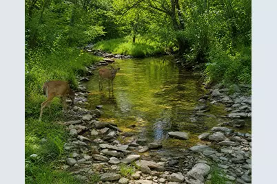 218 Acres Wilson Lane, Glencoe, KY 41046 - Photo 13