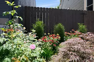 326 W 9th St, Newport, KY 41071 - Photo 29