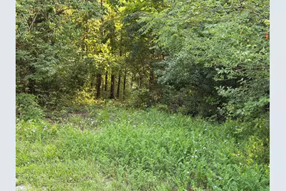 000 Wild Deer Lane, Corinth, KY 41010 - Photo 15