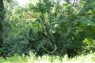 40 Harrison Ave, Bellevue, KY 41073 - Photo 21
