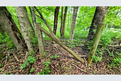 9477 Beech Grove Road, Burlington, KY 41005 - Photo 17