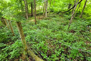 9477 Beechgrove Rd, Burlington, KY 41005 - Photo 43