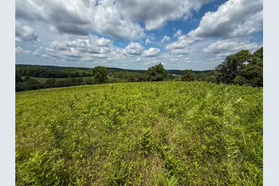 9102 Kentontown Road, Mount Olivet, KY 41064 - Photo 7