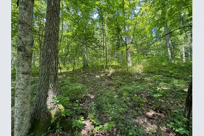 9102 Kentontown Road, Mount Olivet, KY 41064 - Photo 39