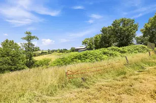 525 Chipman Ridge Rd, Williamstown, KY 41097 - Photo 39